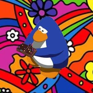 Meet your Posher, Alex